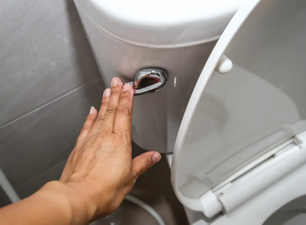 toilet with flushing issues needing repair services springfield il